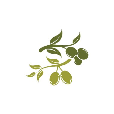 zeytin ikonu vektör çizim şablonu