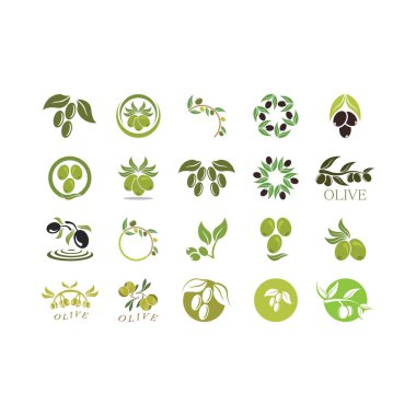 zeytin ikonu vektör çizim şablonu
