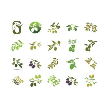 zeytin ikonu vektör çizim şablonu