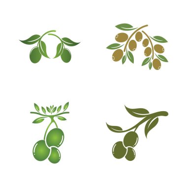 zeytin ikonu vektör çizim şablonu