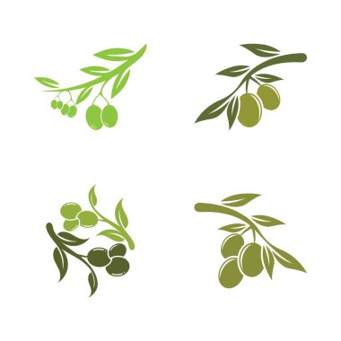 zeytin ikonu vektör çizim şablonu