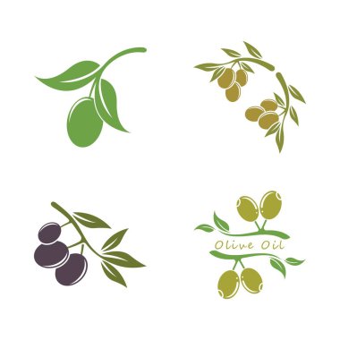 zeytin ikonu vektör çizim şablonu