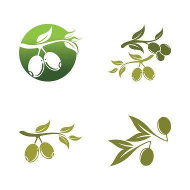 zeytin ikonu vektör çizim şablonu