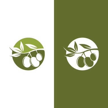 zeytin ikonu vektör çizim şablonu