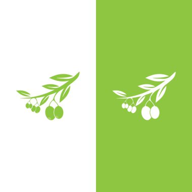 zeytin ikonu vektör çizim şablonu