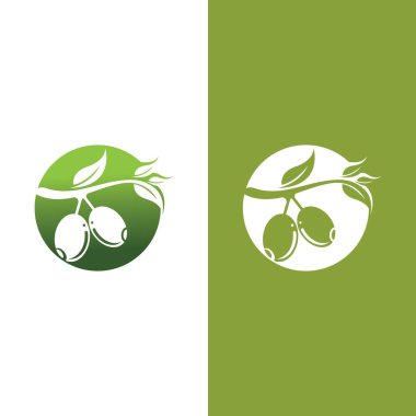 zeytin ikonu vektör çizim şablonu