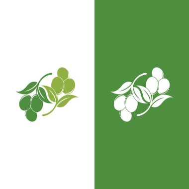 zeytin ikonu vektör çizim şablonu