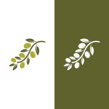zeytin ikonu vektör çizim şablonu