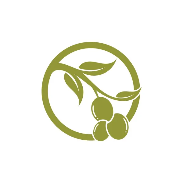 Olive Symbol Vektor Illustration Design Vorlage — Stockvektor