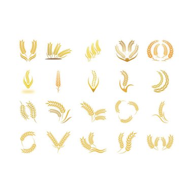 Buğday logosu vektör illüstrasyon tasarımı