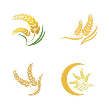 Buğday logosu vektör illüstrasyon tasarımı