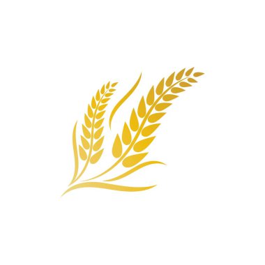 Buğday logosu vektör illüstrasyon tasarımı