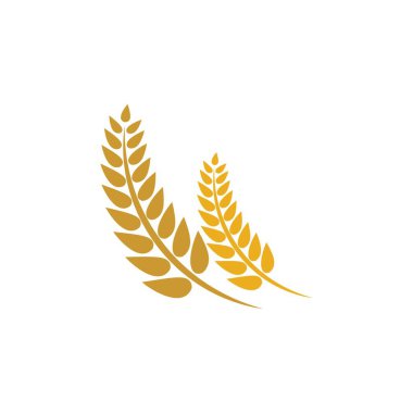Buğday logosu vektör illüstrasyon tasarımı