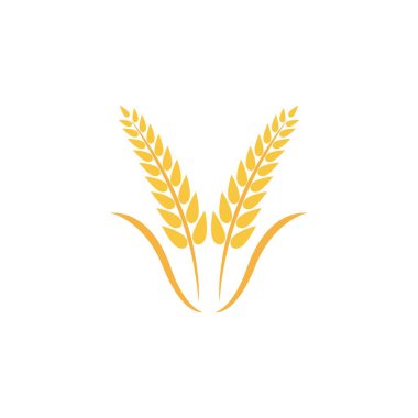 Buğday logosu vektör illüstrasyon tasarımı