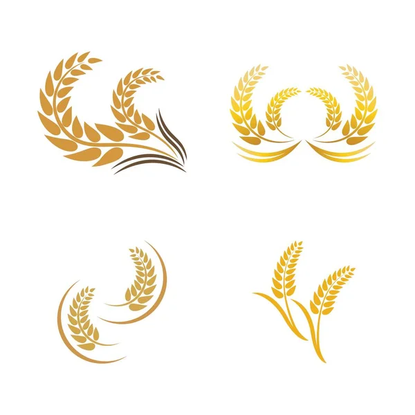 Wheat Logo Vector Icon Illustration Design — Stock Vector