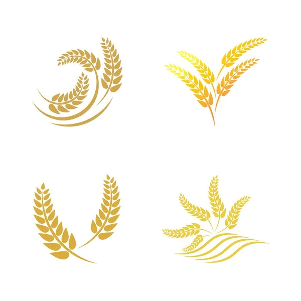 Wheat Logo Vector Icon Illustration Design — Stock Vector