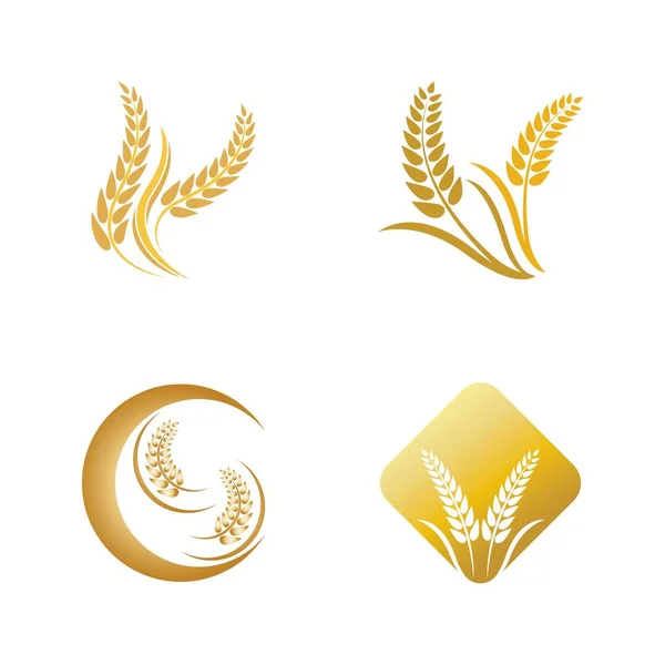 Wheat Logo Vector Icon Illustration Design — Stock Vector