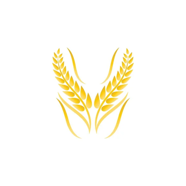 Дизайн Логотипу Пшениці Векторні Ілюстрації — стоковий вектор