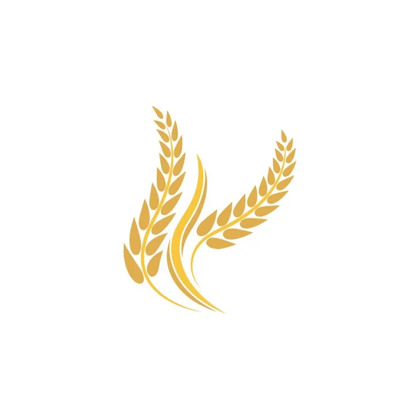 Σχεδιασμός Εικονογράφησης Εικονιδίου Φορέα Λογότυπου Σίτου — Διανυσματικό Αρχείο