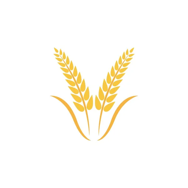 Σχεδιασμός Εικονογράφησης Εικονιδίου Φορέα Λογότυπου Σίτου — Διανυσματικό Αρχείο
