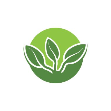 Yeşil ağaç yaprağı ekoloji doğa elementi vektörü logoları