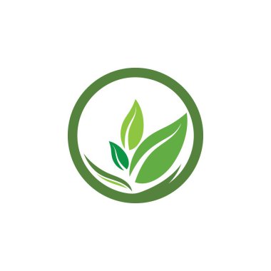 Yeşil ağaç yaprağı ekoloji doğa elementi vektörü logoları