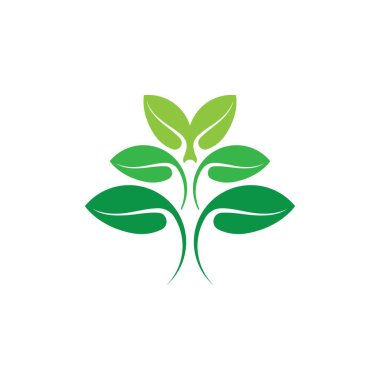 Yeşil ağaç yaprağı ekoloji doğa elementi vektörü logoları