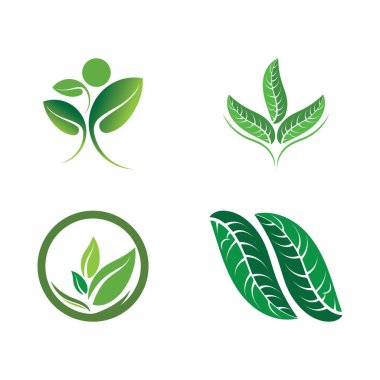 Yeşil ağaç yaprağı ekoloji doğa elementi vektörü logoları
