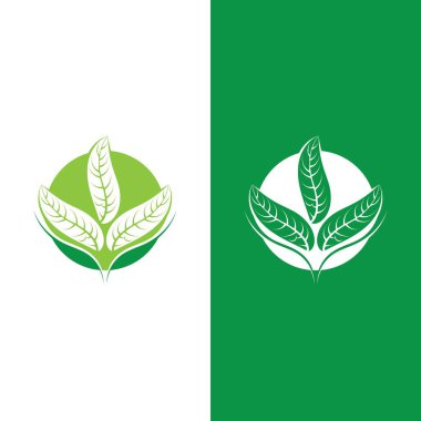 Yeşil ağaç yaprağı ekoloji doğa elementi vektörü logoları