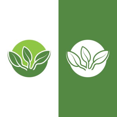 Yeşil ağaç yaprağı ekoloji doğa elementi vektörü logoları