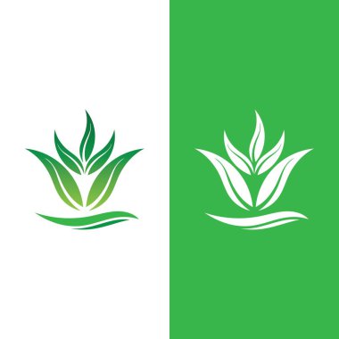 Yeşil ağaç yaprağı ekoloji doğa elementi vektörü logoları