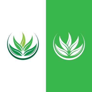 Yeşil ağaç yaprağı ekoloji doğa elementi vektörü logoları