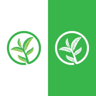 Yeşil ağaç yaprağı ekoloji doğa elementi vektörü logoları