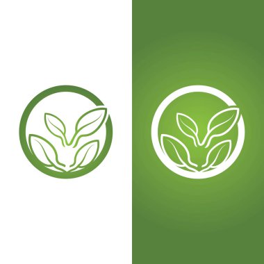Yeşil ağaç yaprağı ekoloji doğa elementi vektörü logoları