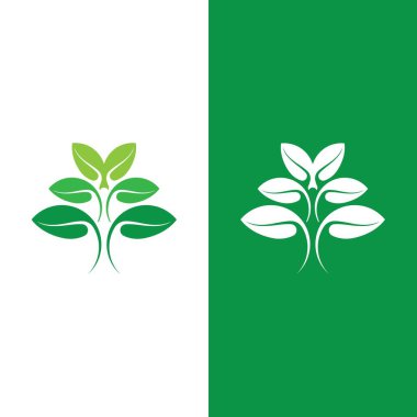 Yeşil ağaç yaprağı ekoloji doğa elementi vektörü logoları