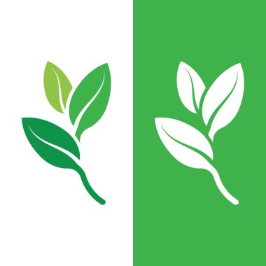 Yeşil ağaç yaprağı ekoloji doğa elementi vektörü logoları