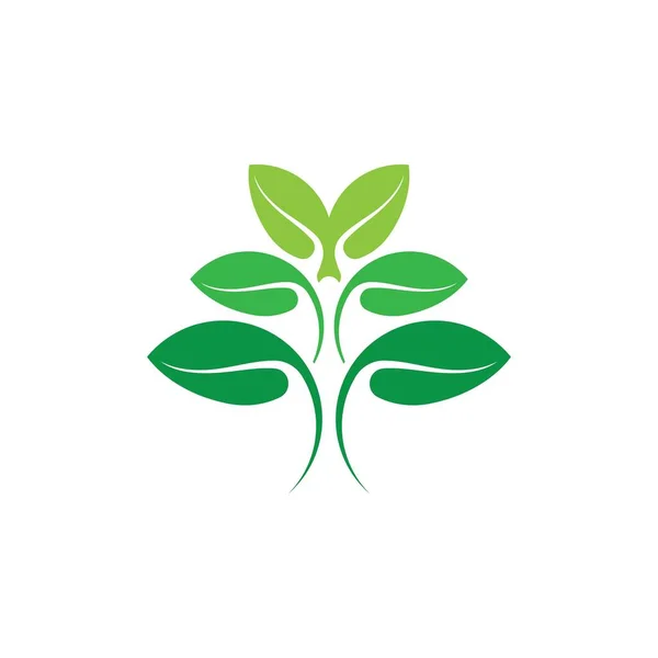 Logo Van Groene Boomblad Ecologie Natuur Element Vector — Stockvector