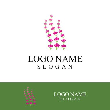 Taze lavanta çiçeği logo vektörü düz tasarım
