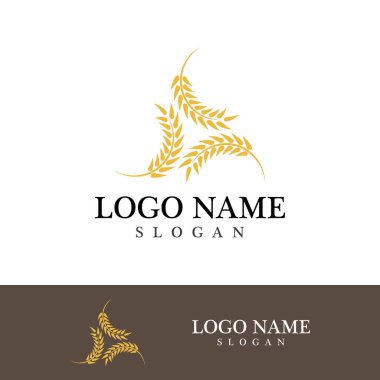 Tarım buğday vektör tasarımı 