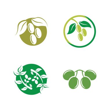 Zeytin logosu resimli dersign şablonu