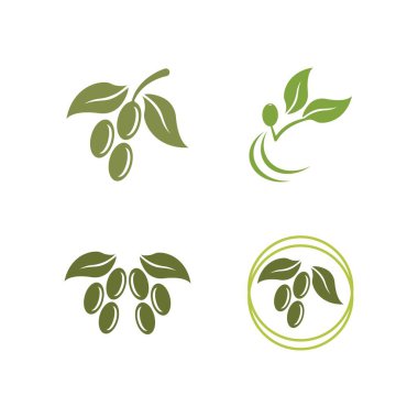 Zeytin logosu resimli dersign şablonu