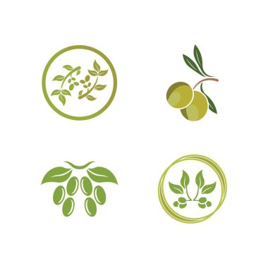 Zeytin logosu resimli dersign şablonu