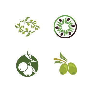 Zeytin logosu resimli dersign şablonu