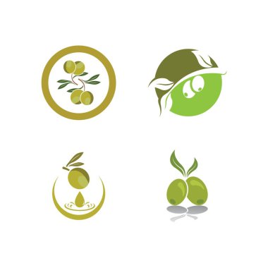 Zeytin logosu resimli dersign şablonu