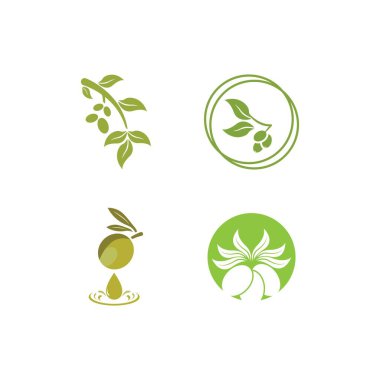 Zeytin logosu resimli dersign şablonu