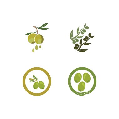 Zeytin logosu resimli dersign şablonu