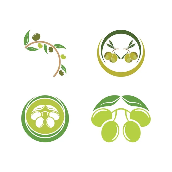 Olive Logo Imágenes Ilustración Dersign Plantilla — Vector de stock