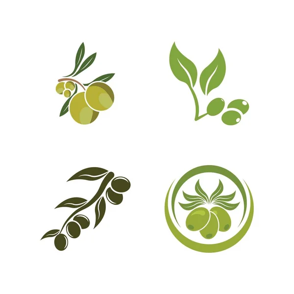 Olive Logotipo Imagens Ilustração Dersign Modelo — Vetor de Stock