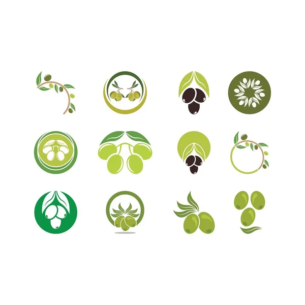 Olive Logotipo Imagens Ilustração Dersign Modelo — Vetor de Stock