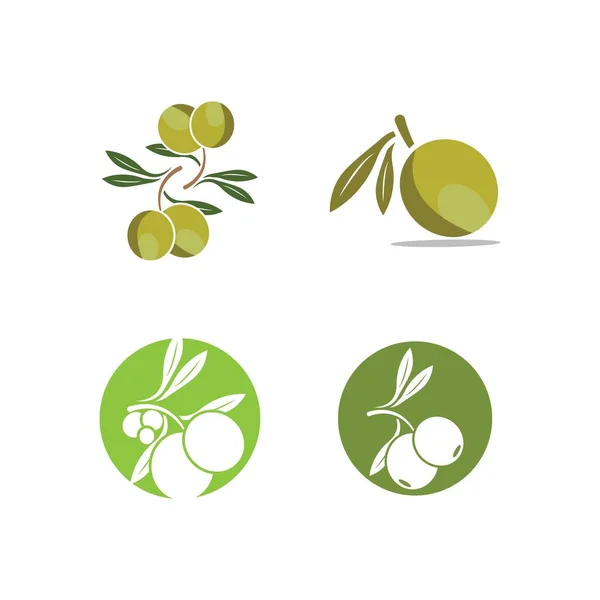 Olive Logo Images Illustration Dersign Modèle — Image vectorielle
